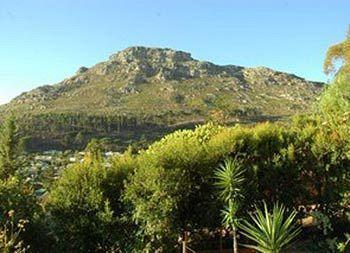 Hotel Poplar Tree Cape Town