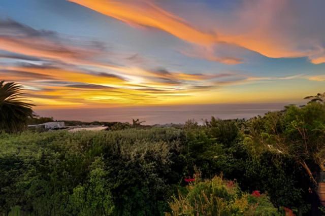Cape Rose Cottage - Penthouse In Camps Bay Guest house Cape Town