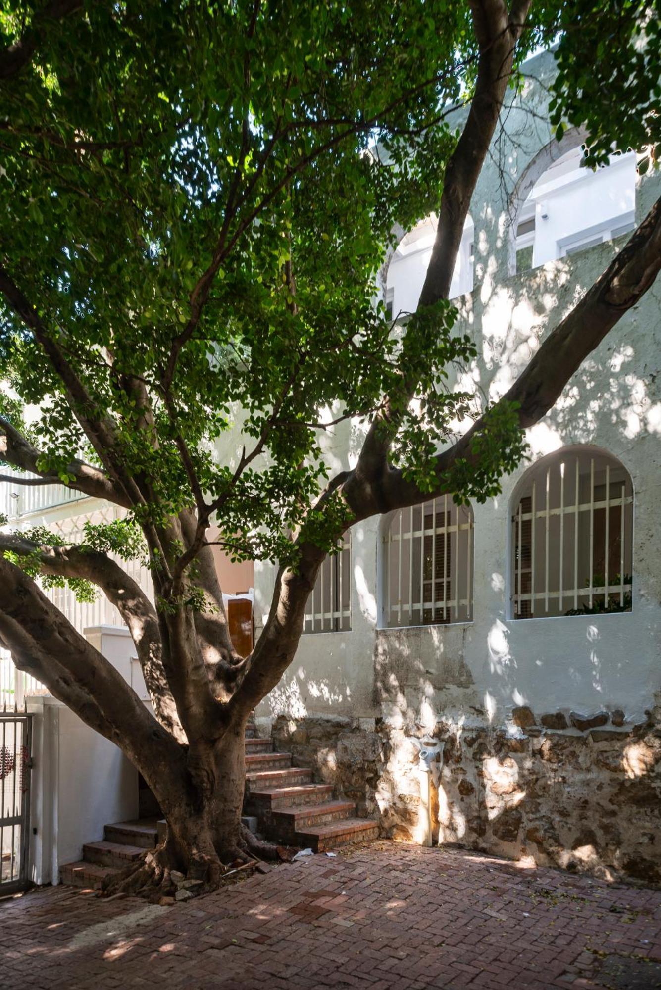 Roeland Terrace Hidden Gem *