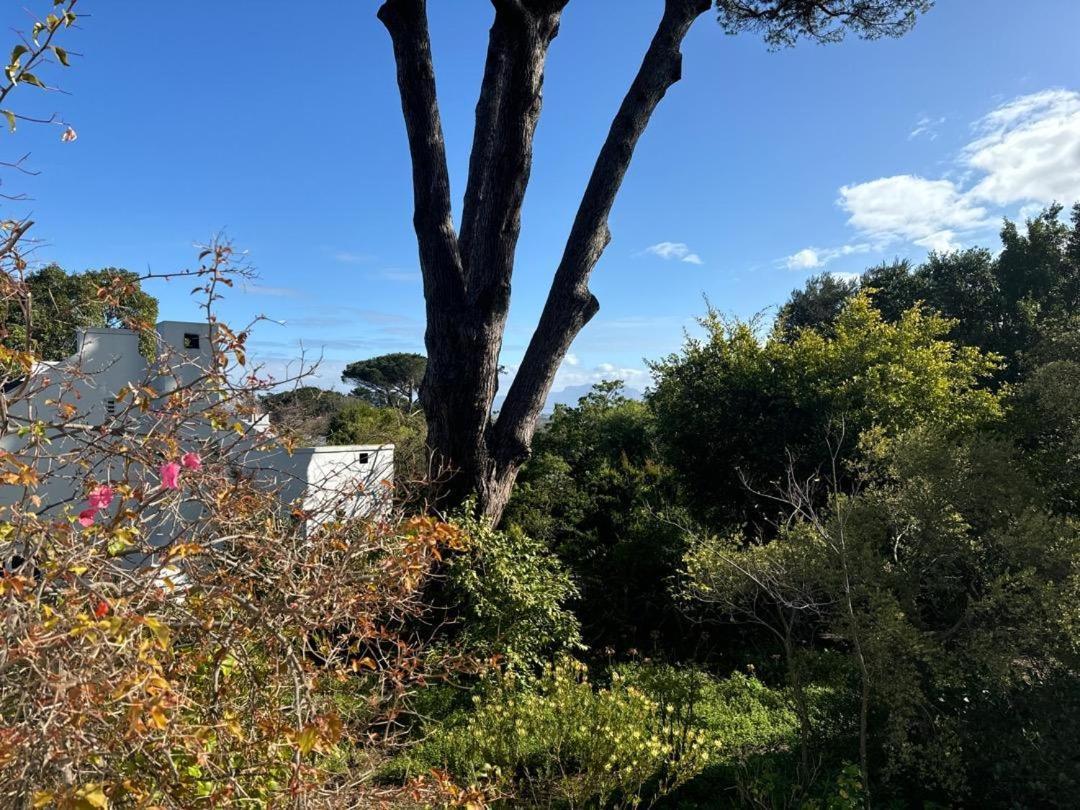 Bordeaux 45 Cape Town