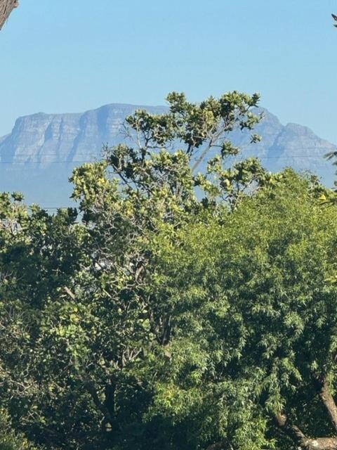Bordeaux 45 Cape Town