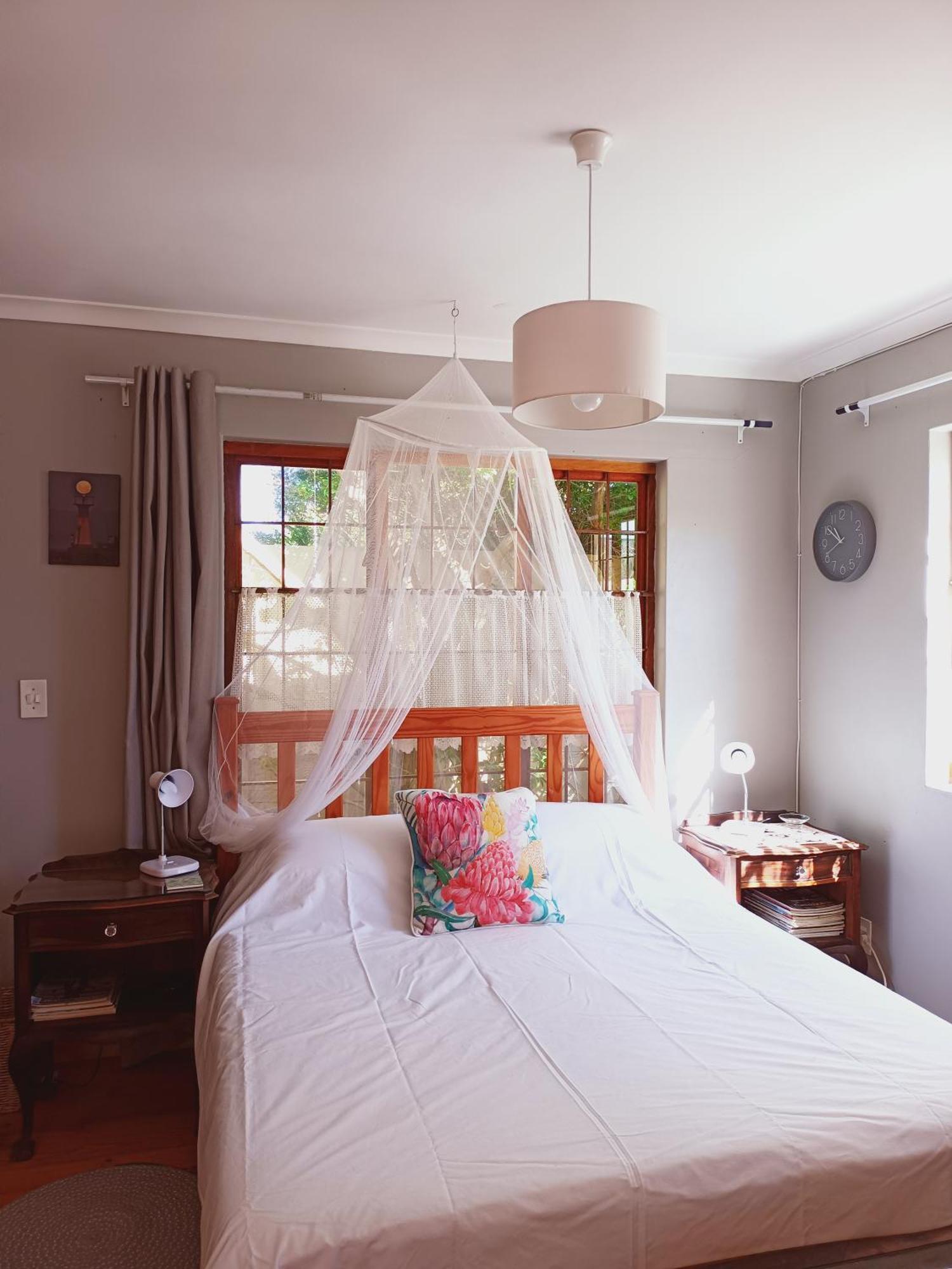 Lavender Cape Town