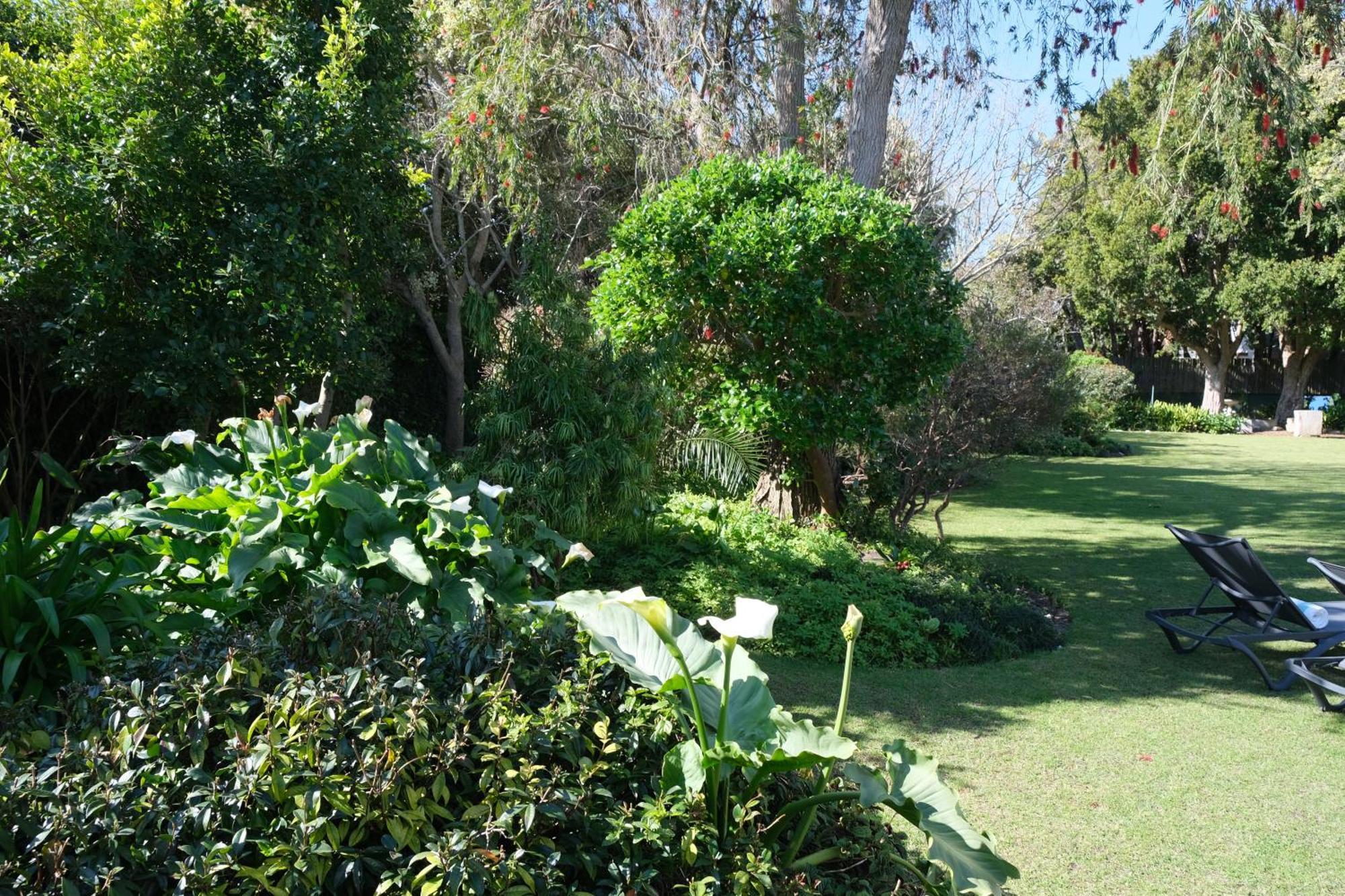 Guest house High Hedges Guest Constantia