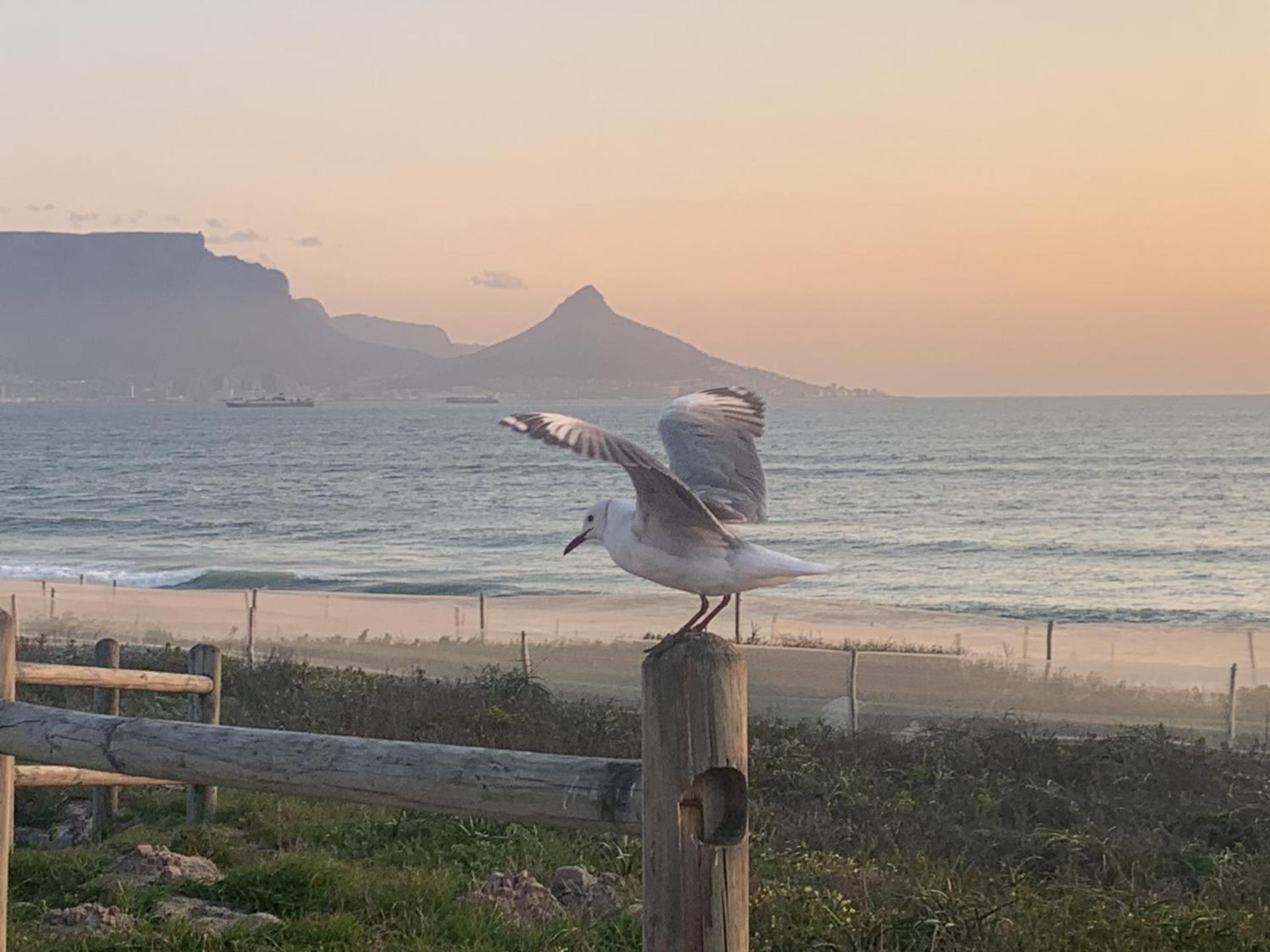 Apartment Beachfront With Exquisite Views Cape Town