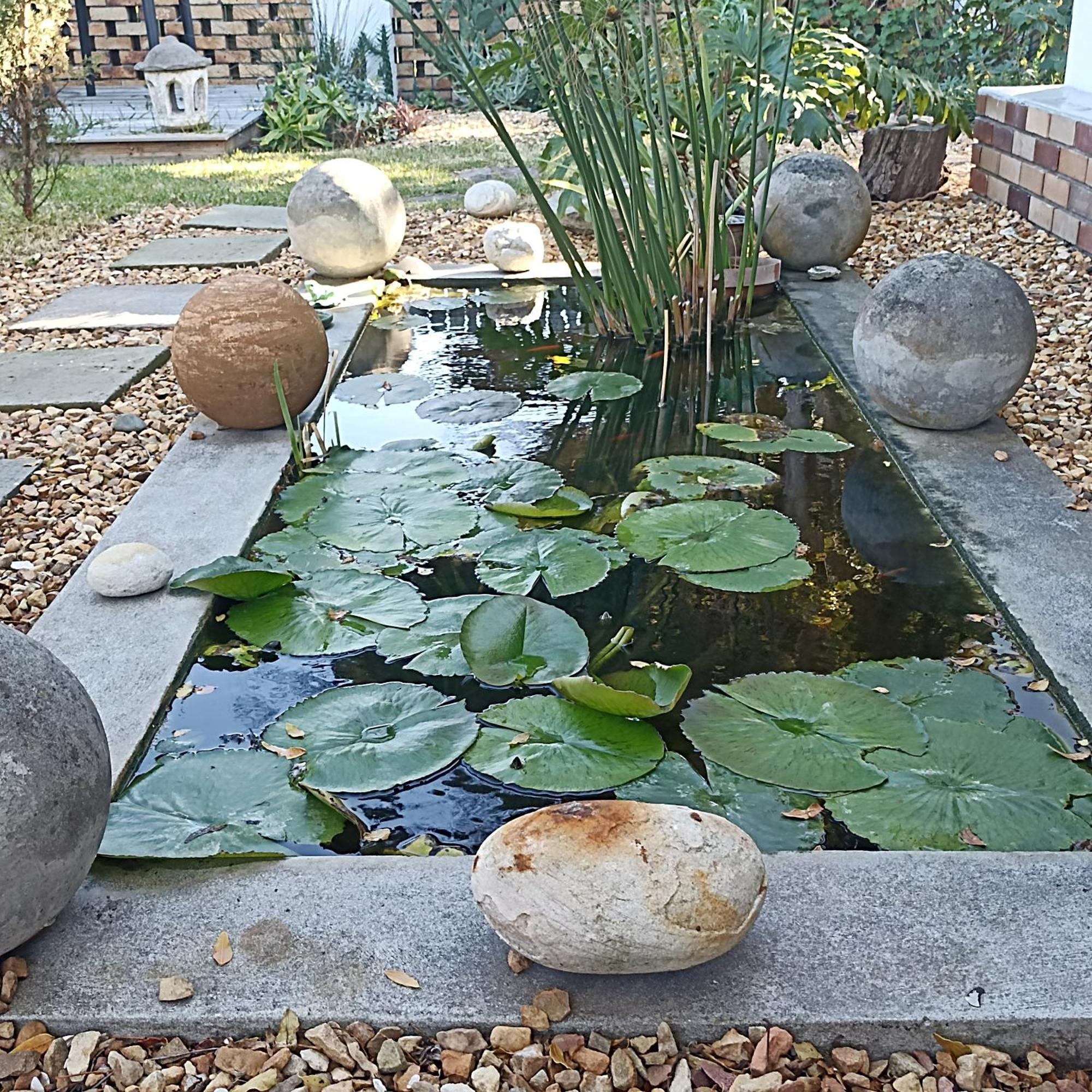Koi Apartment