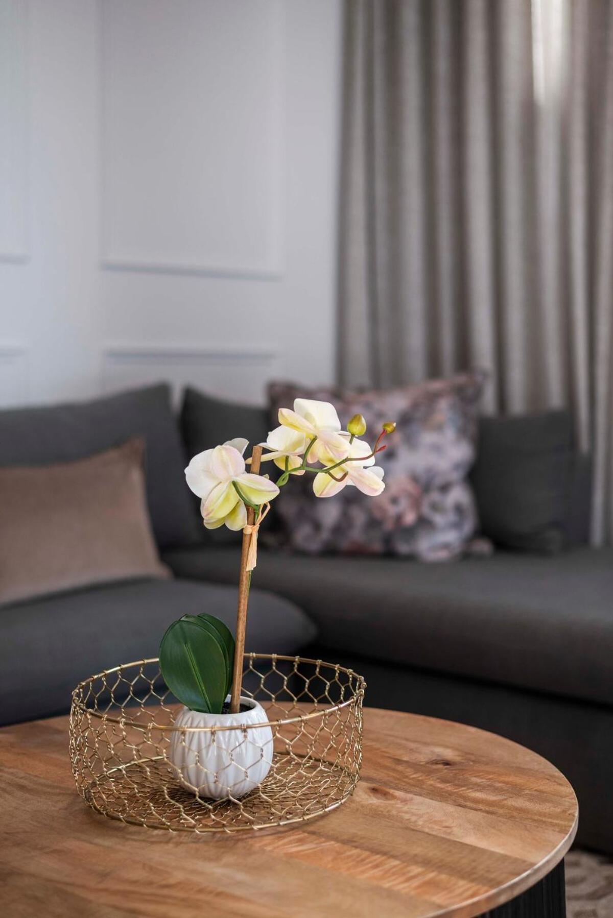 Modern At Venice House Apartment Cape Town