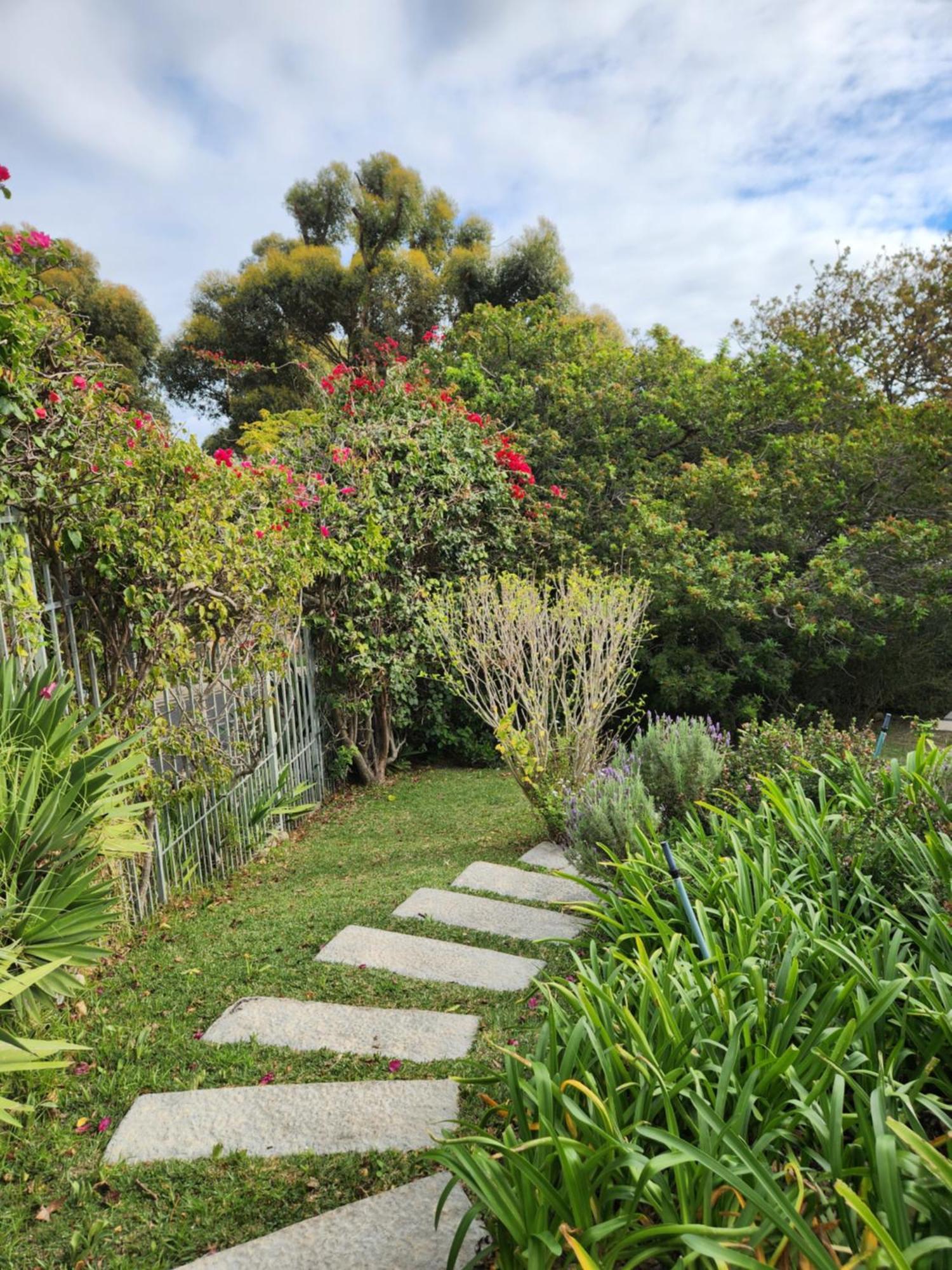Holiday home Camps Bay, Garden Cape Town