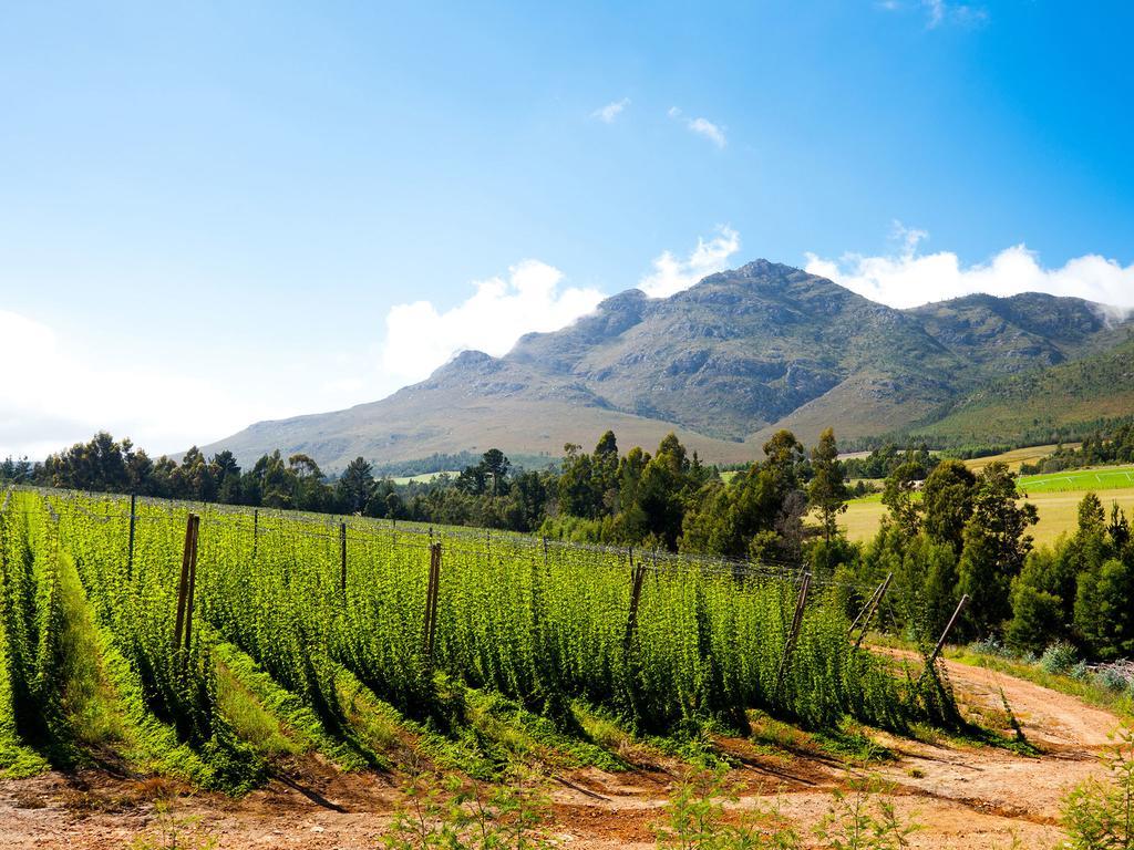 Royal Atlantic 3* Cape Town