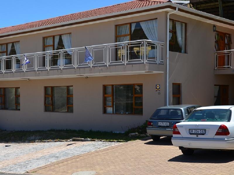 15 On Penguin Cape Town