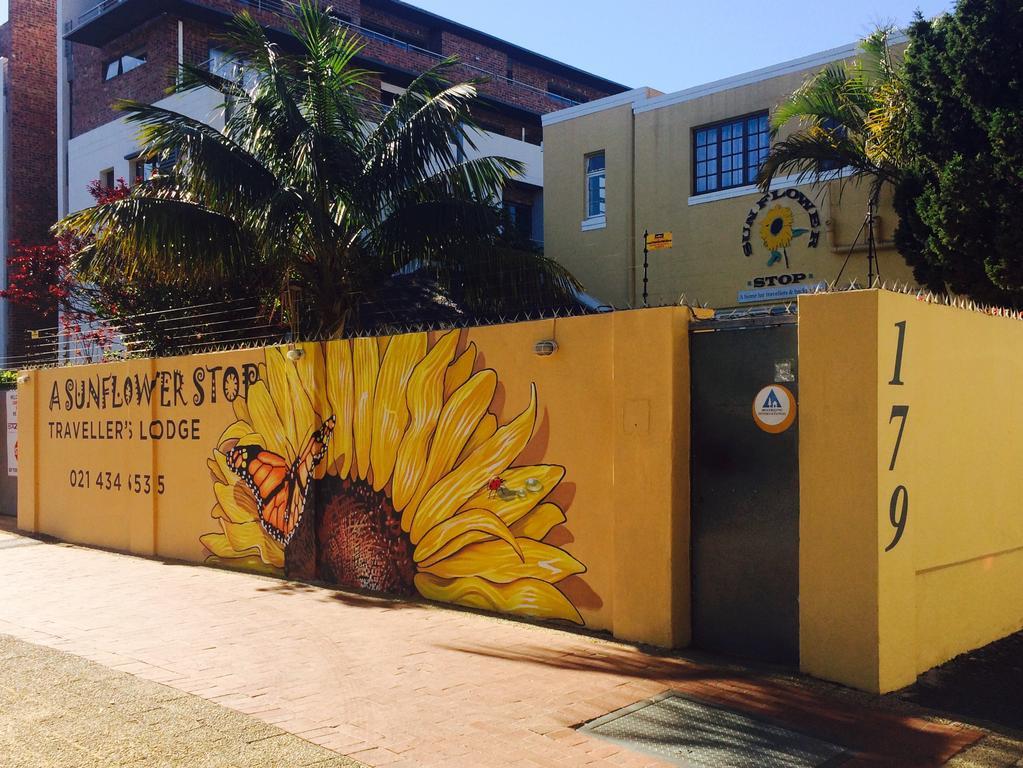 A Sunflower Stop Backpackers