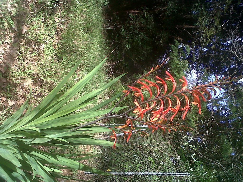 Greenways Cape Town