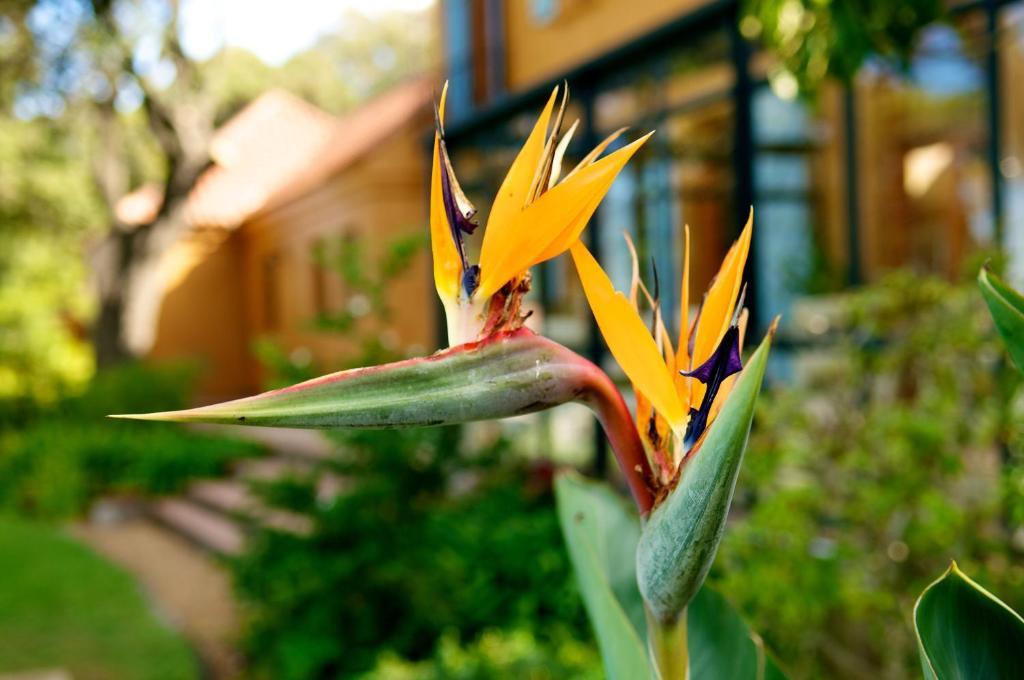 Cap Serein Guest house