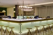 Protea Fire & Ice By Marriott Hotel
