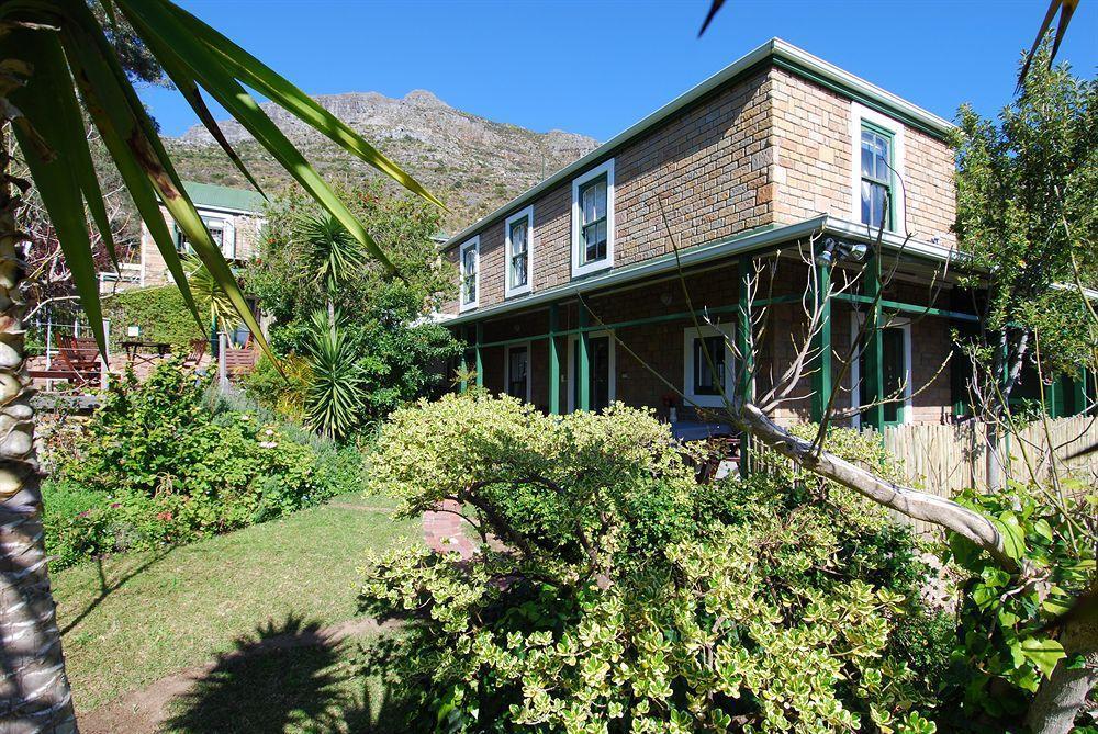 Poplar Tree Cape Town