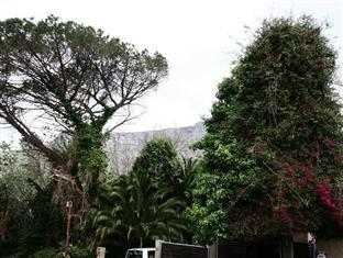 Gap Bed & Breakfast Cape Town