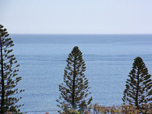 Atlantic Pearl