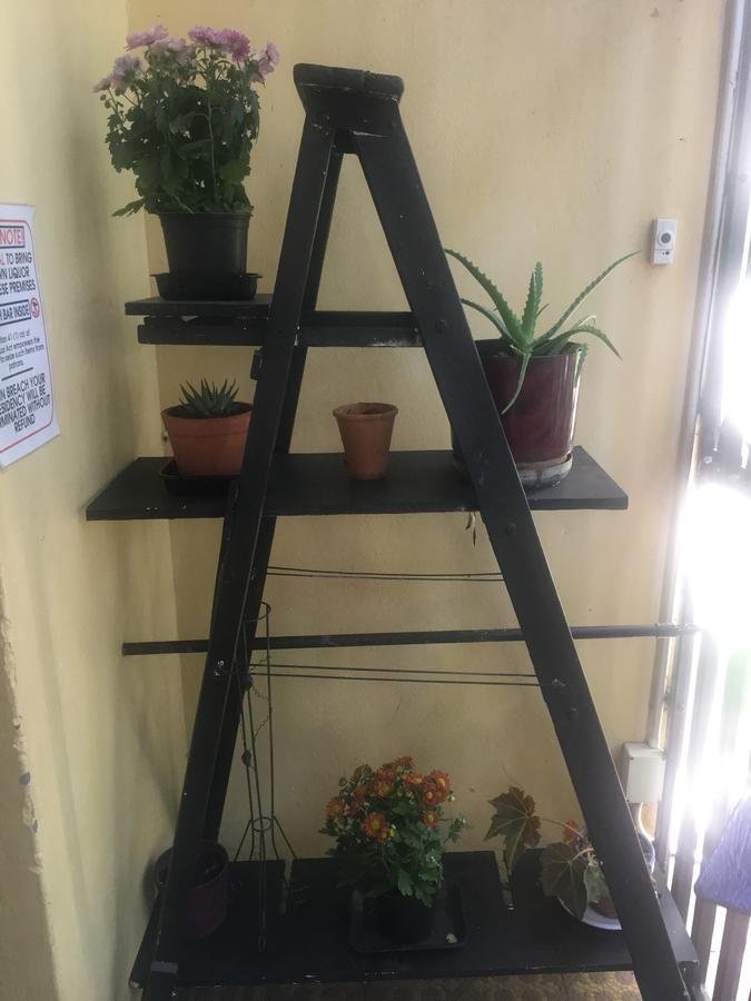 Hostel Oak Backpackers Cape Town