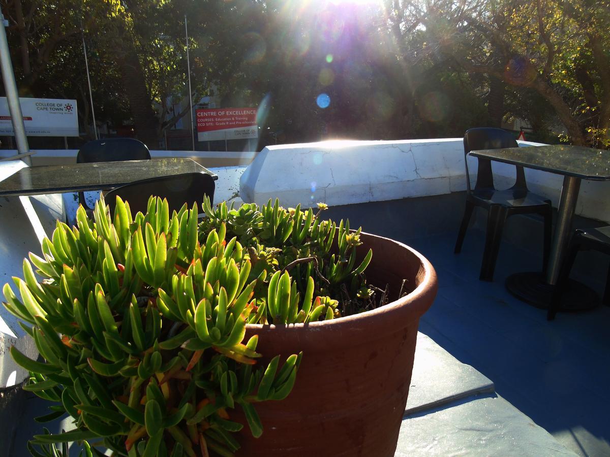 Hostel Oak Backpackers Cape Town
