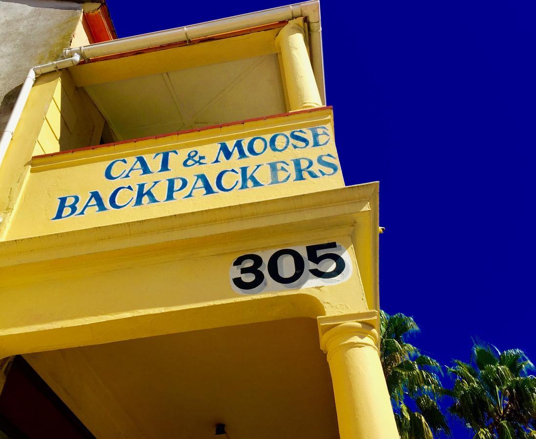 Cat And Moose Backpackers Hostel Cape Town