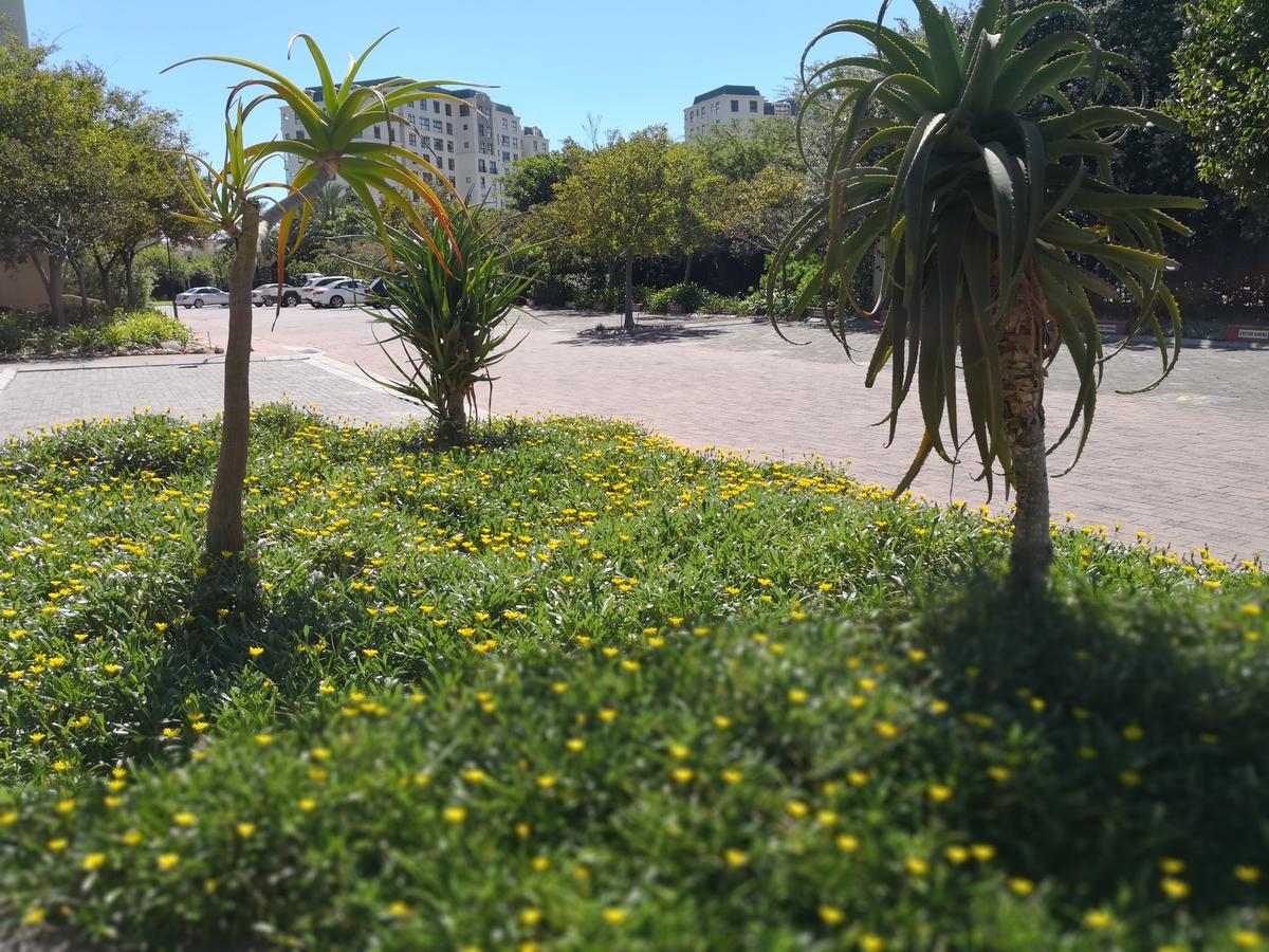 Aparthotel Majorca Apartments By Bon Hotels