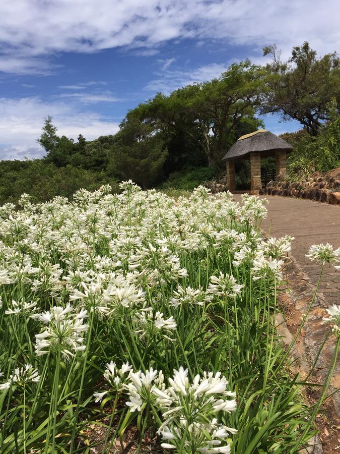 Guest house Wanderlust's Way Cape Town