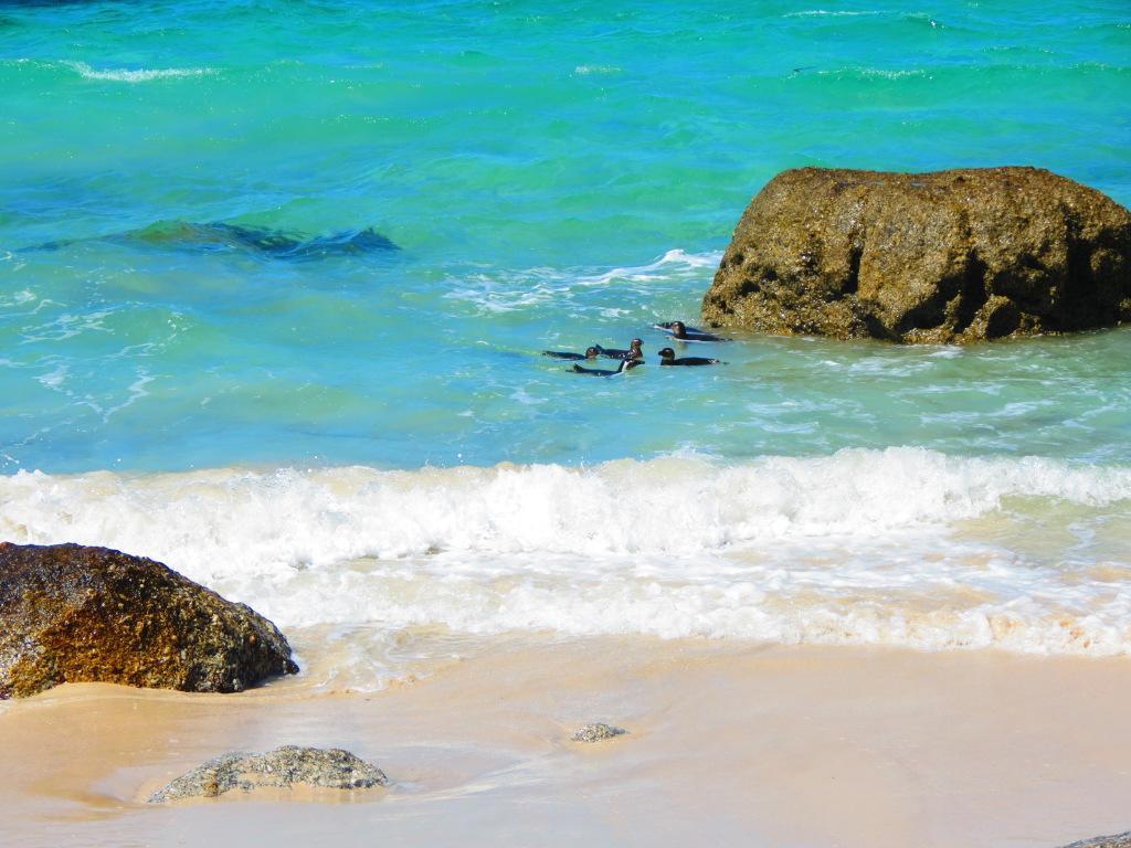 Brighton Court Beachfront Luxury Cape Town