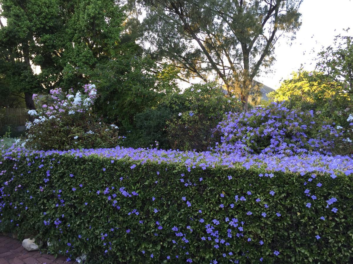 Guest house Invergara Cape Town