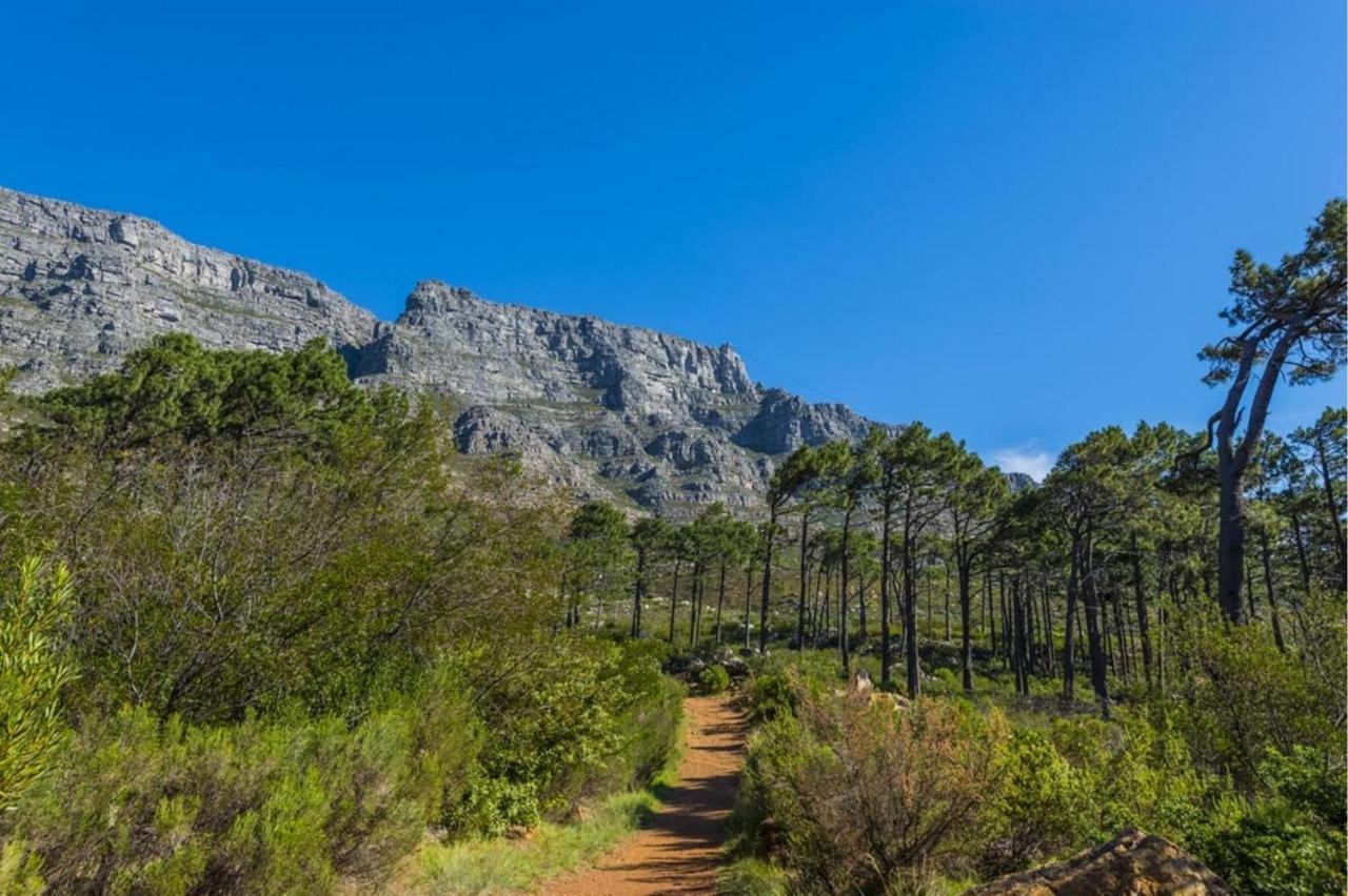 20 Belladonna Avenue Vredehoek Guest house