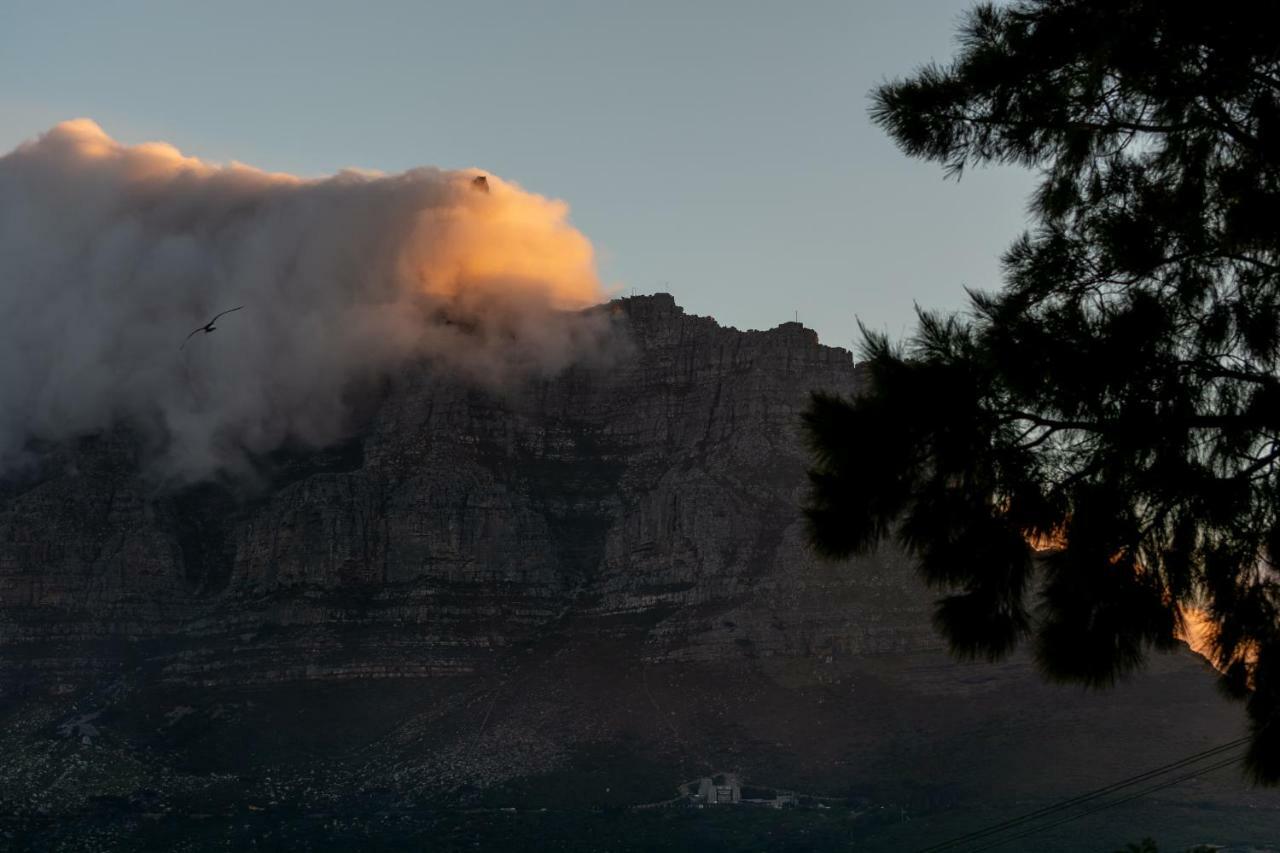 Upperbloem And 3* Cape Town