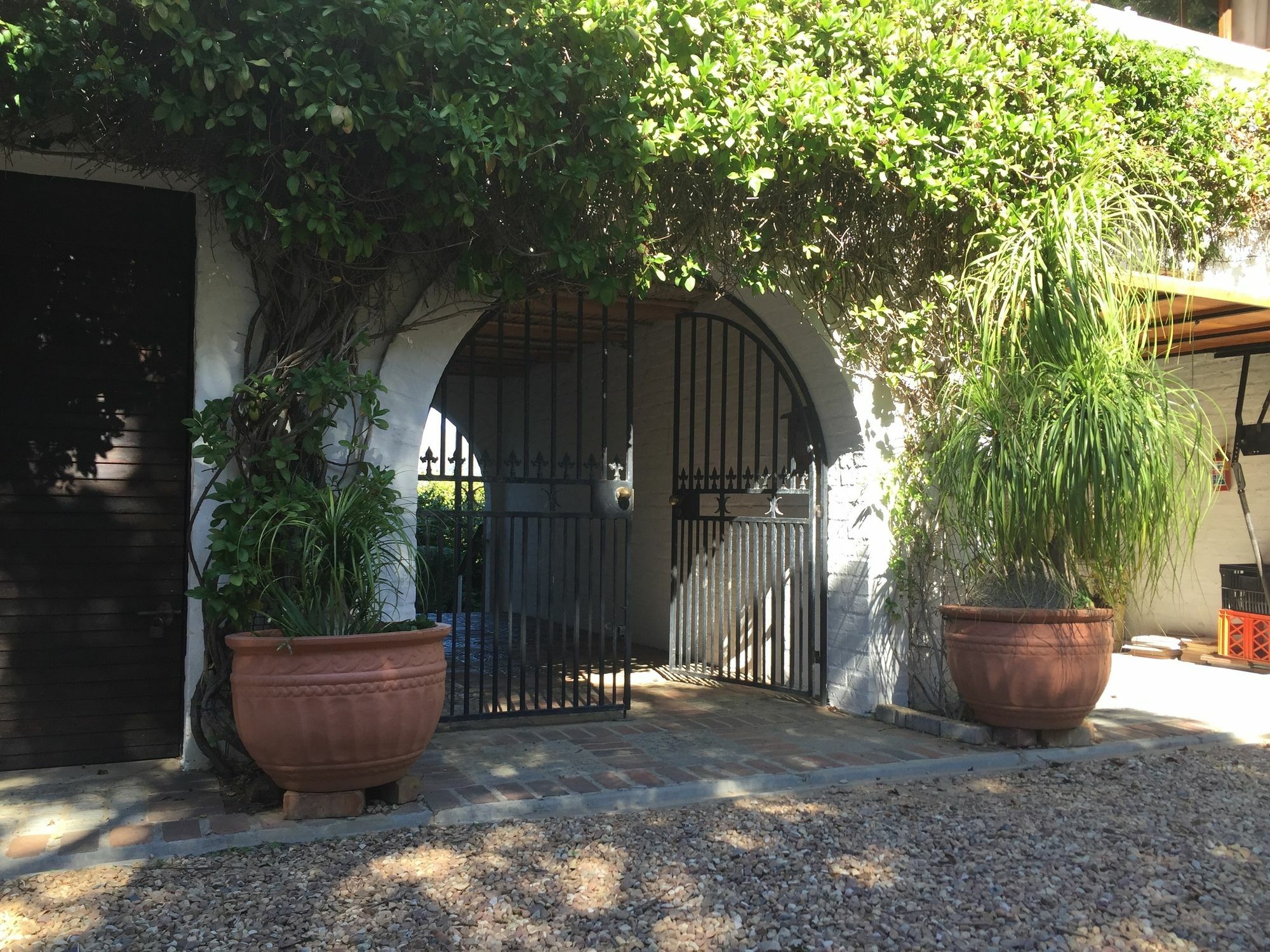 Klein Bosheuwel Cape Town