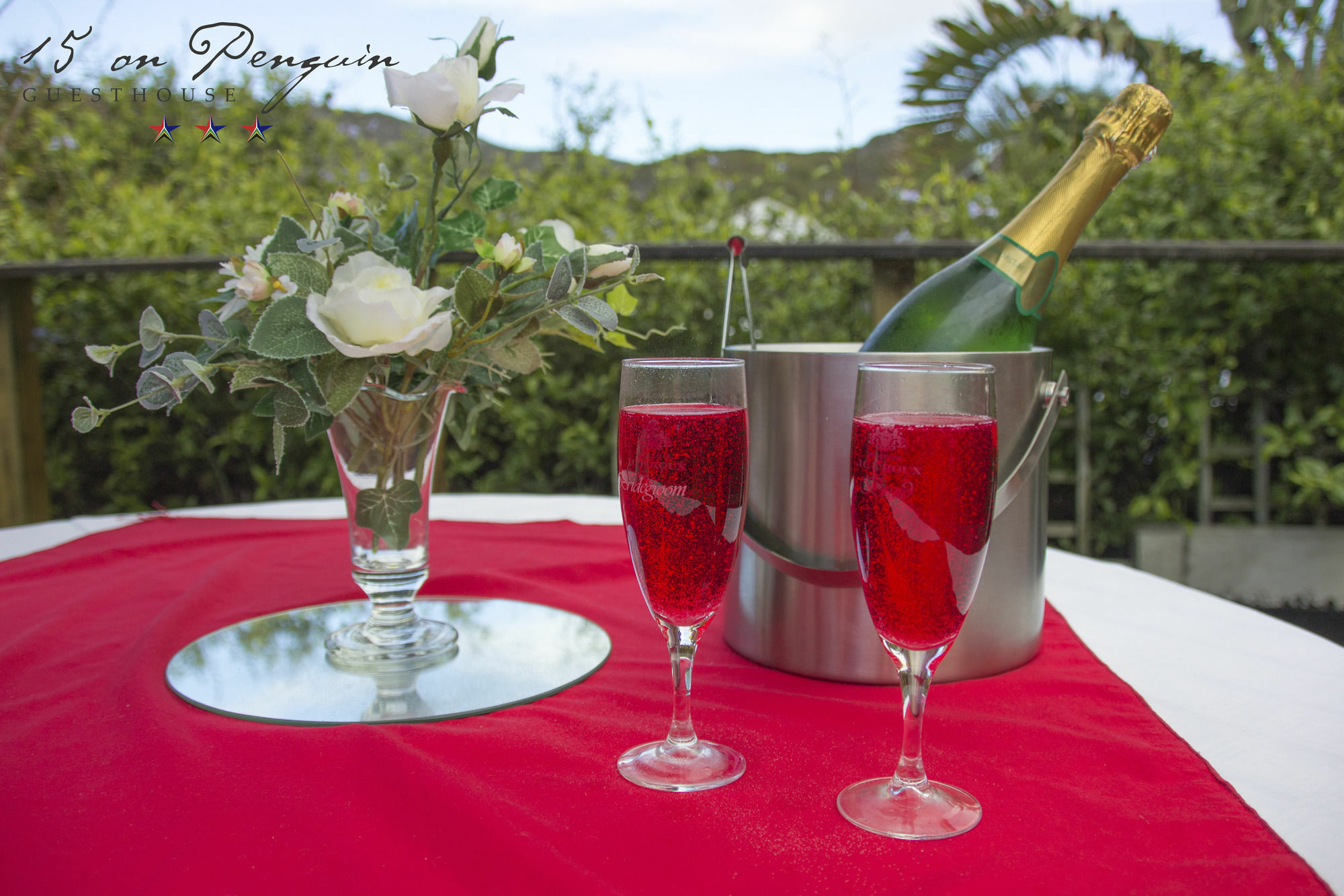 15 On Penguin Guest house