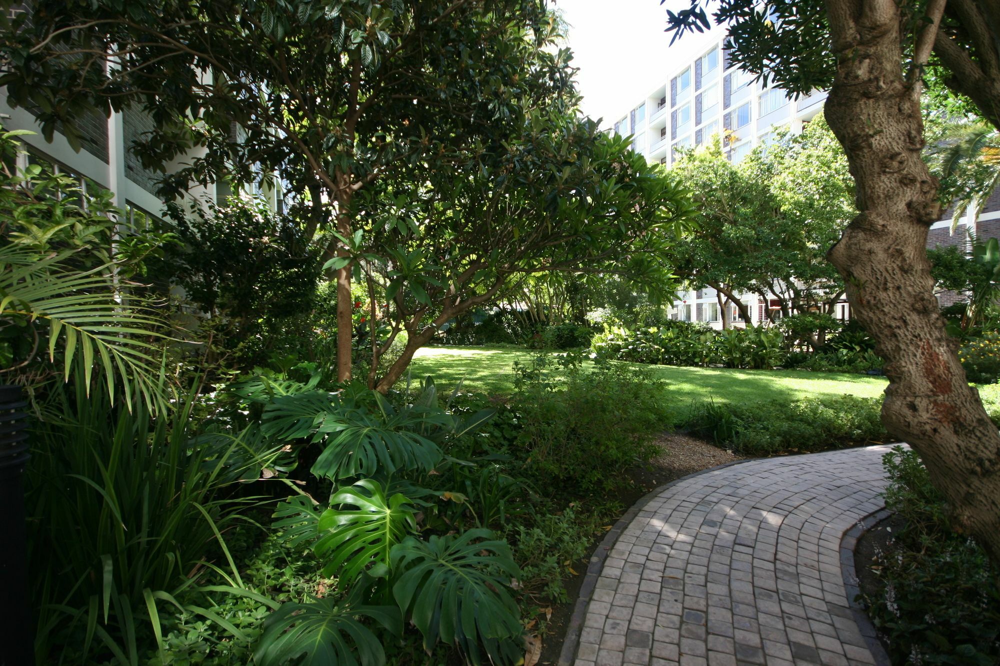 St. Martini Gardens 906 By Ctha Apartment
