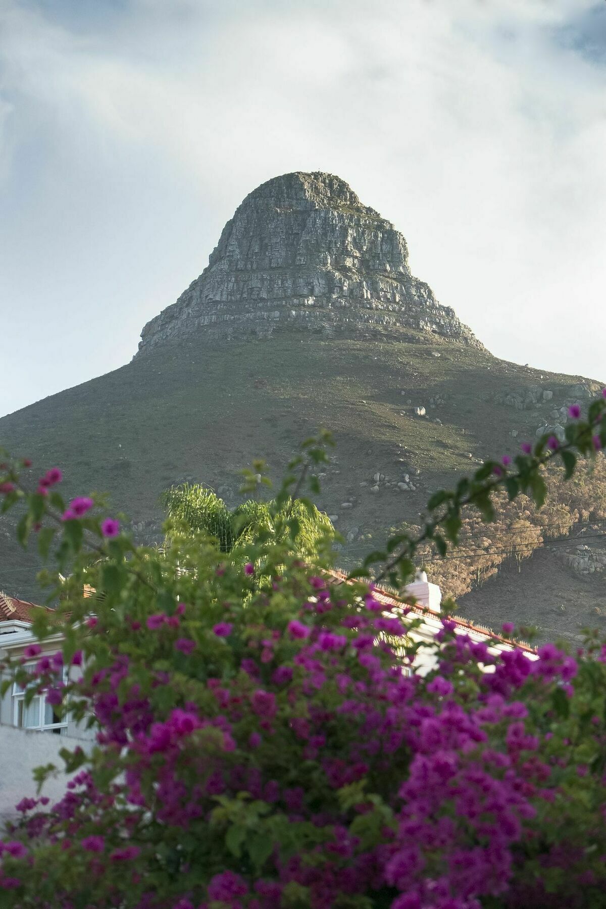 Guest house Rhonda's Manor Cape Town