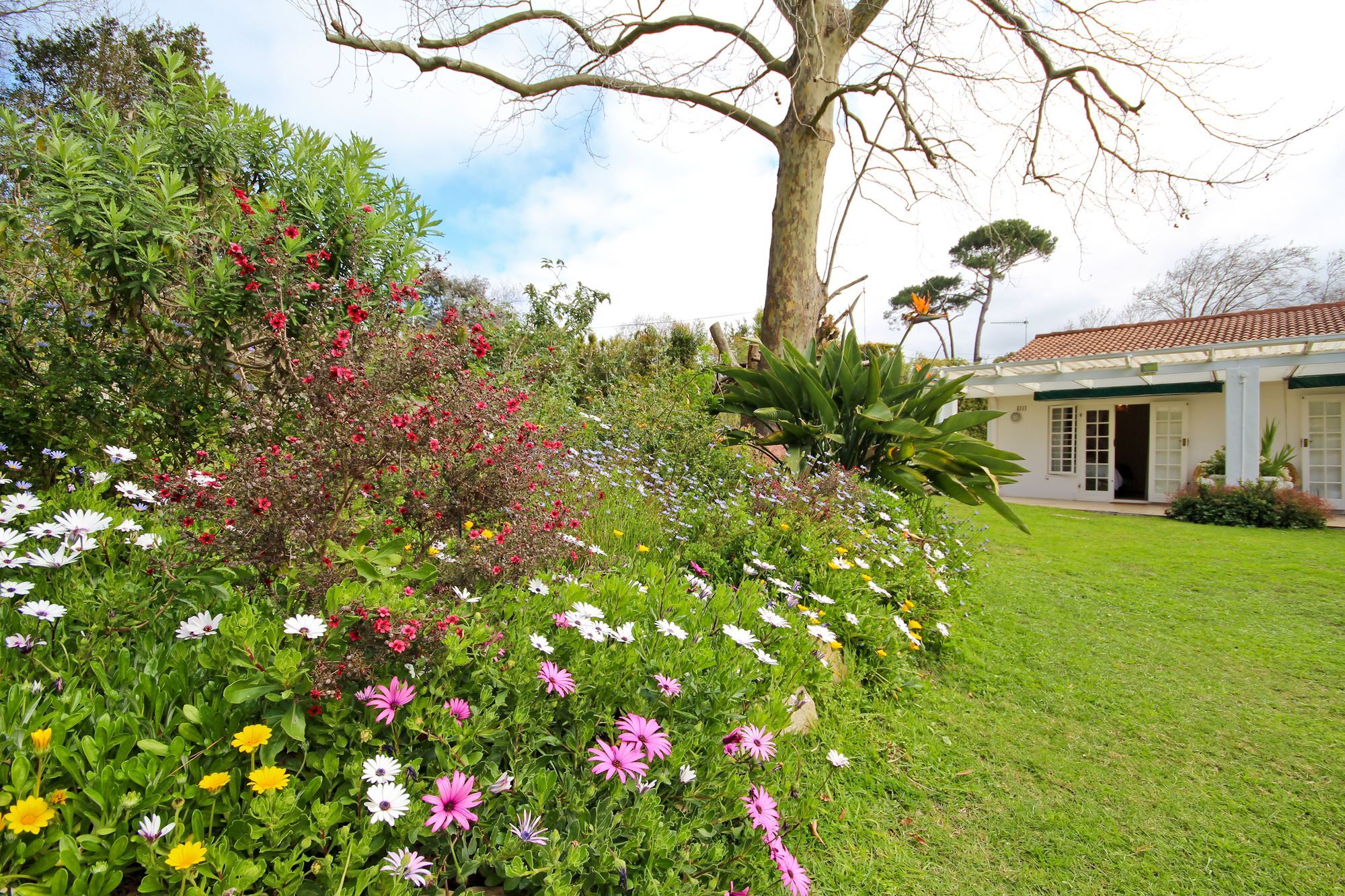 Beluga Of Constantia Cape Town