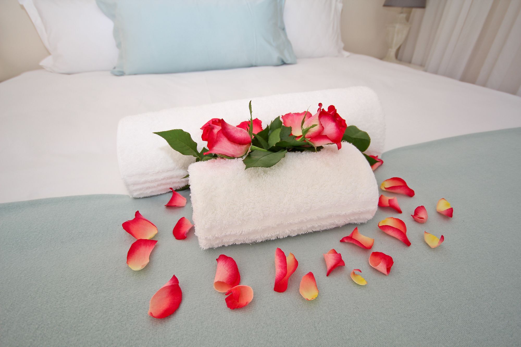 Beluga Of Constantia Guest house 4*