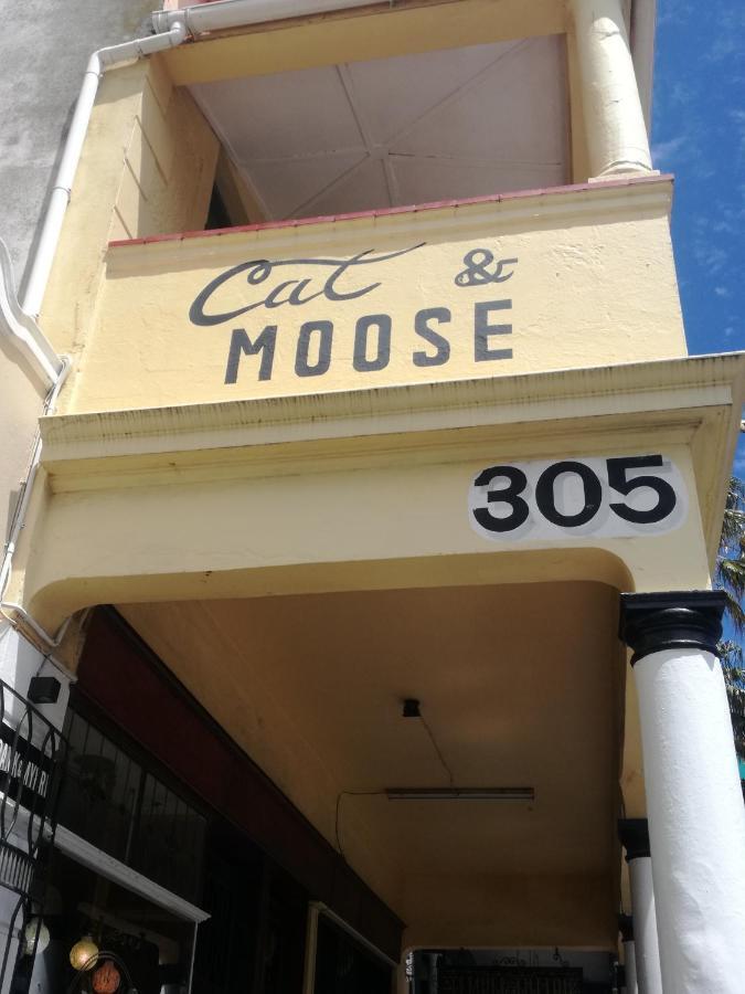 Cat And Moose Backpackers Hostel