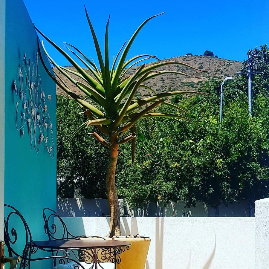 Guest house Avatara Cape Town